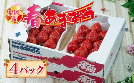 福岡産[春]あまおう4パック※一部離島不可[あまおう 苺 いちご フルーツ 果物ギフト 贈答 苺 ジャム ショートケーキ タルト スイーツ デザート スムージー いちご パフェ ヨーグルト]