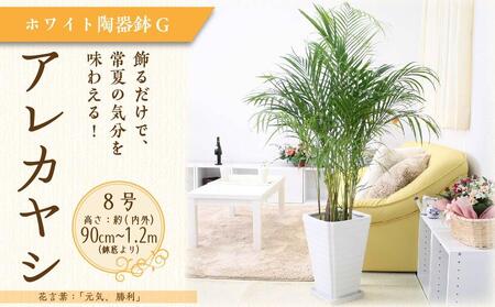 アレカヤシ 8号 ホワイト陶器鉢 Gタイプ 土の表面:ウッドチップ[観葉植物 植物 アレカヤシ 8号 鉢付 インテリア 部屋 室内 オフィス 癒し エコ グリーン マイナスイオン リラックス オシャレ おしゃれ ギフト プレゼント 贈り物 人気 おすすめ 福岡県筑前町 送料無料 AG039]