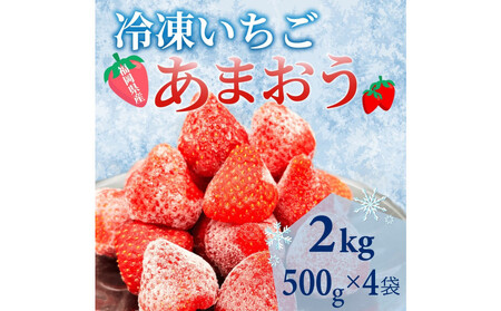 yXC[cȒ蕨z킢ϔIYⓀ܂v2kg(500g×4)