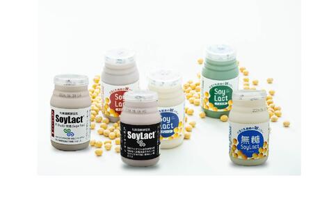 乳酸菌醗酵豆乳「ソイラクト」バラエティセット100ml×2本×6種(計12本)