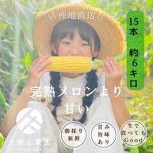 ＜2026年6月発送＞【完熟メロンのように甘い】朝採り!スイートコーン　約6kg15本前後【プレゼントにもオススメ】
