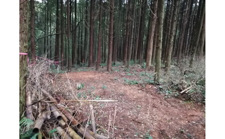 アウトドアキャンパー向け森林レンタル(フォレンタ筑前キャンプエリア)