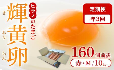 [定期便3回]ヒラノのたまご[輝黄卵(きおうらん)]赤Mサイズ10kg(160個前後)[たまご 卵 タマゴ たまご 卵 タマゴ たまご 卵 タマゴ 大容量 割れ保証 福岡 筑前]