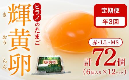 [定期便3回]輝黄卵(きおうらん)72個(6個入り×12パック)[たまご 卵 タマゴ たまご 卵 タマゴ たまご 卵 タマゴ 大容量 割れ保証 福岡 筑前]