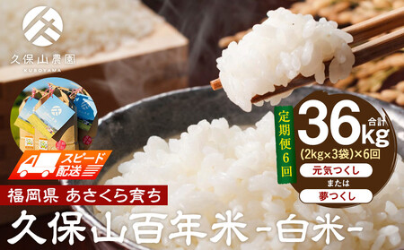 [特別栽培米]久保山百年米-白米(2kg×3袋)計6kg[定期6回]