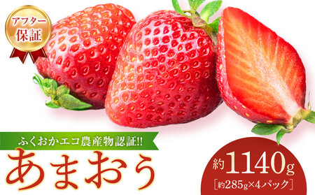 ys\ 2026N1ȍ~zӂGR_YF!! ܂ 1140g 285g×4pbN }O