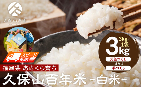 �y���ʍ͔|�āz�v�ێR�S�N��-����3kg×1�܁b�� ���� ������ ���C����