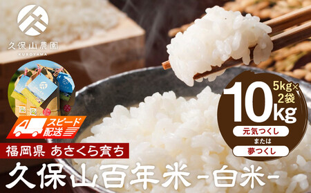 �y���ʍ͔|�āz�v�ێR�S�N��-����5kg×2�� �v10kg�b�� ���� ������ ���C����