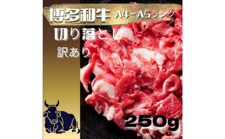 【定期便全12回】【訳あり】【A4～A5ランク】博多和牛 切り落とし 250g