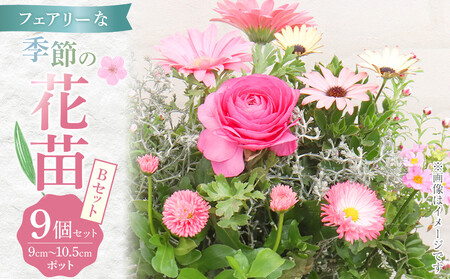 フェアリーな花苗セットB|花苗 ギフト ガーデニング