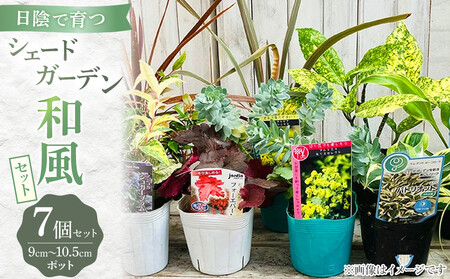 日陰で育つシェードガーデン(和風)セット|花苗 ギフト ガーデニング