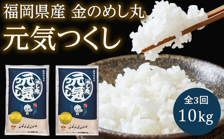 [令和7年度]『定期便(隔月発送)』福岡県産めし丸元気つくし10kg(5kg×2袋)全3回