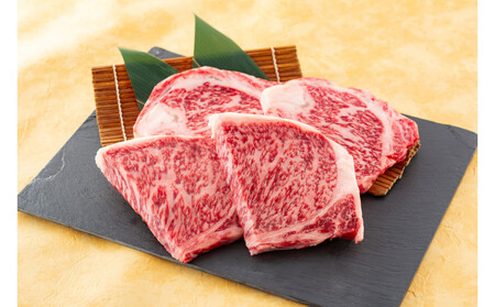 A4/A5等級 博多和牛 サーロインステーキ 3〜4人前 約500g
