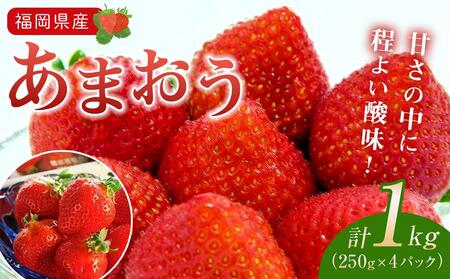 福岡県産あまおう1kg(250g×4パック)[いちご イチゴ 苺 あまおう フルーツ 博多あまおう くだもの あまおういちご 福岡県産いちご 果物 いちご 苺 食品 人気 おすすめ 送料無料 AE003]