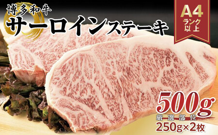 博多和牛 サーロインステーキセット 500g ( 250g×2枚 )|博多 和牛 サーロイン ステーキ 肉 福岡