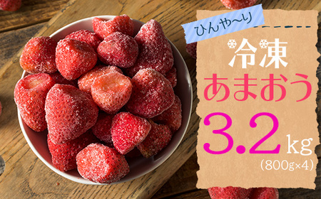 yⓀz  ܂ 3.2kgi800g×4܁j 2J5-S