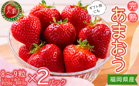 暖家のいちご ギフト用完熟あまおう(8粒〜9粒)×2パック 3Z1-S