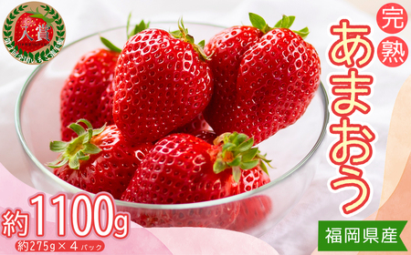 gƂ̂@n܂ 275×4pbN 3Z3-S