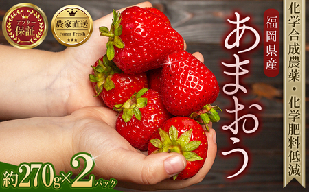 農家直送!特別栽培 あまおう 約270g × 2パック ふるさと納税 いちご イチゴ 苺 赤村 果物 くだもの フルーツ ジャム にも ケーキ にも 先行予約 数量限定 ふるさと ランキング 人気 おすすめ 福岡 東峰村 3S14-S