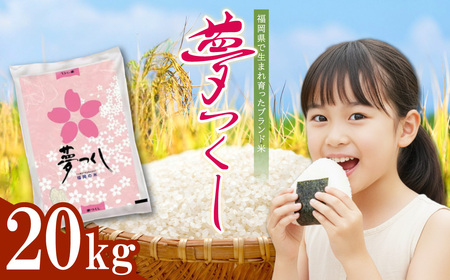 4J4 ������(����) �������Y�u�����h�� 20kg