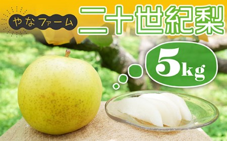 [やなファーム]二十世紀梨 5kg Q1