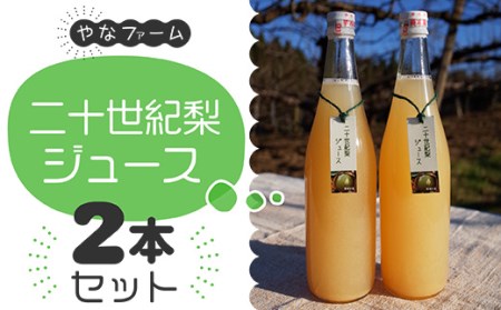 Q2[やなファーム]二十世紀梨ジュース(710ml)2本セット