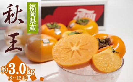 !uh`uH()v3kg(8-12) 3V19