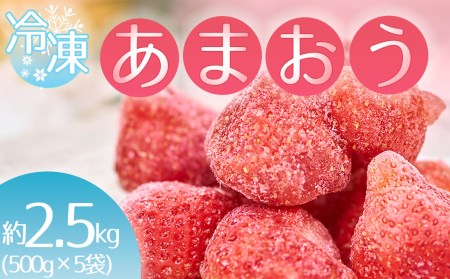 福岡産冷凍あまおう約500g×5袋 3V8