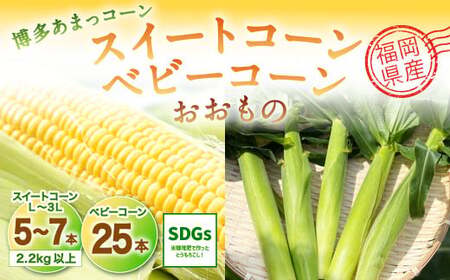 [2024年6月上旬発送開始]福岡県産 SDGs米糠堆肥で作ったメロンより甘い「博多あまっコーン(おおもの)」2.2kg以上とベビーコーン25本のセット