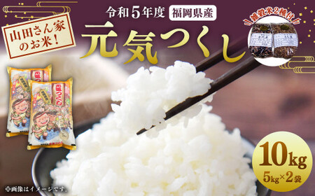 山田さん家のお米!令和5年産[元気つくし]10kg+雑穀米2種付
