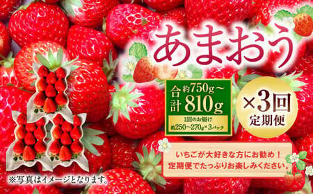 [3回定期便]あまおう (約250〜270g×3パック)×3回[2025年1月下旬〜3月下旬発送予定]