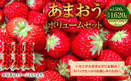 あまおうボリュームセット 約250〜270g×6パック[2025年2月上旬〜4月上旬発送予定]