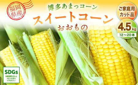 SDGs米糠堆肥で作ったとうもろこし「博多あまっコーン(ご家庭用カット品)」 4.5kg (12本〜20本)とうもろこし トウモロコシ コーン[2025年6月上旬〜7月下旬発送予定]