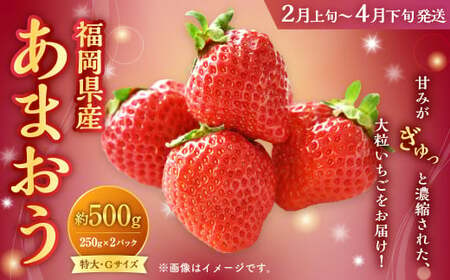 福岡県産 あまおう 500g(250g×2パック)いちご 苺 イチゴ[2025年2月上旬〜4月下旬発送予定]