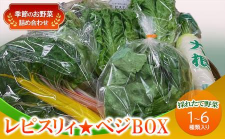  Zbg sXBxWBOX G߂̂ 1`6 lߍ킹 zsFkCAA