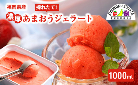 ジェラート 採れたて!福岡産 濃厚あまおうジェラート 1000ml 濃厚 苺 いちご あまおう ストロベリー ※配送不可:離島