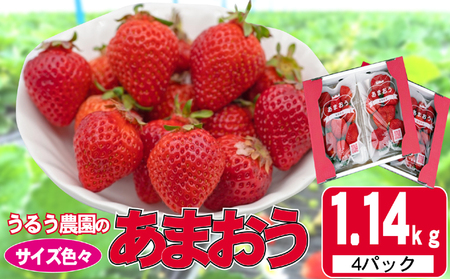 いちご 2025年12月より発送 うるう農園のあまおう サイズ色々4パック 約1.14kg 果物 フルーツ デザート 食後 特別栽培 福岡県産 国産 日本産 ※配送不可:離島