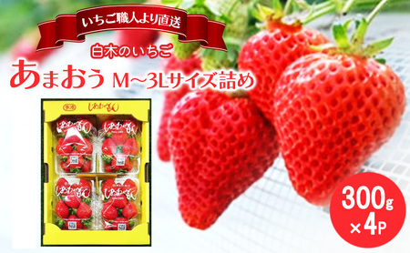 いちご いちご職人 白木のいちご あまおう 300g×4パック詰め (M〜3Lサイズ) イチゴ 苺 果物 デザート ※配送不可:沖縄・離島