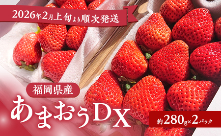 あまおう [2026年2月上旬より順次発送]あまおうDX 約280g×2パック イチゴ 苺 いちご 果物 福岡県産 ※配送不可:離島