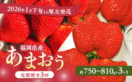 あまおう 定期便 3回 [2026年1月下旬より順次発送][3ヶ月定期便]あまおう 3パック×3回 イチゴ 苺 いちご 果物 福岡県産 ※配送不可:離島