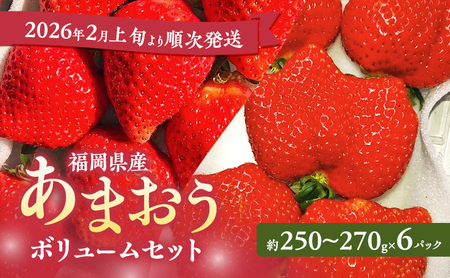 あまおう [2026年2月上旬より順次発送] あまおうボリュームセット 6パック イチゴ 苺 いちご 果物 福岡県産 ※配送不可:離島