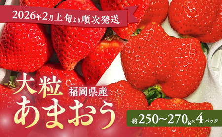 あまおう [2026年2月上旬より順次発送]大粒あまおう 4パック イチゴ 苺 いちご 果物 福岡県産 ※配送不可:離島