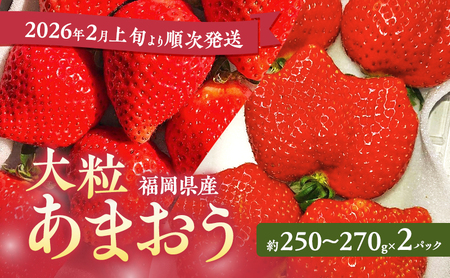 あまおう [2026年2月上旬より順次発送]大粒あまおう 2パック イチゴ 苺 いちご 果物 福岡県産 ※配送不可:離島