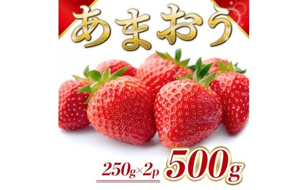 苺 福岡県産 あまおう 500g(2パック) 先行予約 発送予定:2026年2月より順次発送 いちご イチゴ 果物 ※配送不可:離島