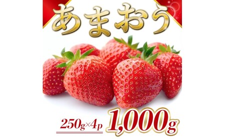 苺 福岡県産 あまおう 1000g(4パック) 先行予約 発送予定:2026年2月より順次発送 いちご イチゴ 果物 ※配送不可:離島