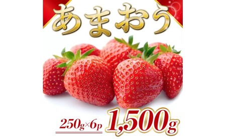  Y ܂ 1500gi6pbNj s\ \F2026N2菇  C`S ʕ zs: