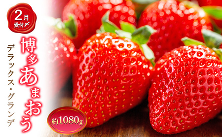いちご 4パック 計約1080g 博多あまおう デラックス グランデ セット 詰め合わせ おまおう 苺 イチゴ 果物 くだもの フルーツ 旬のフルーツ 季節の果物 福岡 福岡県 大刀洗町 お申込:2026年2月10日迄