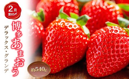 いちご 2パック 計約540g 博多あまおう デラックス グランデ セット 詰め合わせ おまおう 苺 イチゴ 果物 くだもの フルーツ 旬のフルーツ 季節の果物 福岡 福岡県 大刀洗町 お申込:2026年2月10日迄