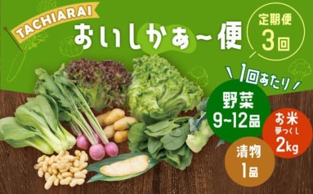 [定期便 年3回]「TACHIARAI」おいしかぁ〜便 (夢つくし2kg入) 野菜の詰め合わせ 9〜12品