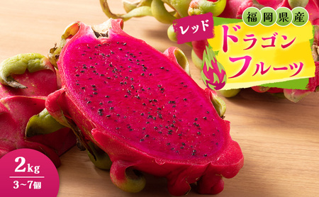 福岡県産 ドラゴンフルーツ レッド 2kg (3～7個) 果物 フルーツ ※配送不可:離島